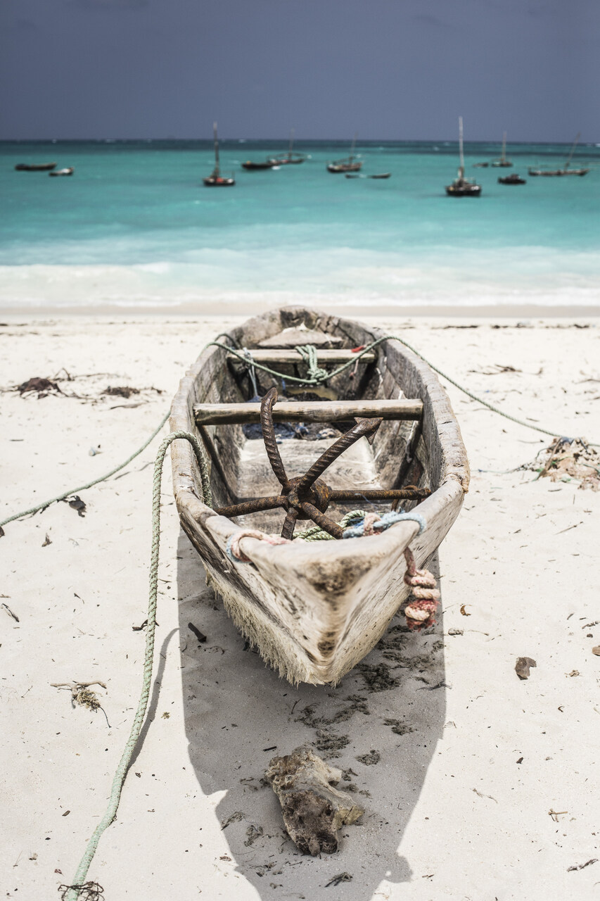 zanzibar 18 25.01.2026 zanzibar 18 25.01.2026