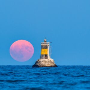 pexels nikolay tenev 833337653 28179275