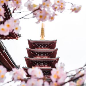 JAPONIA 13-23.10.2026